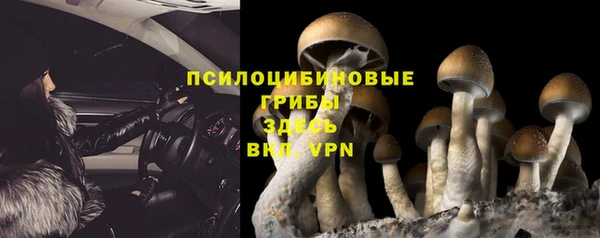прущая мука Баксан