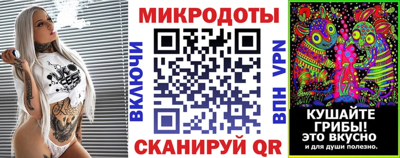 Галлюциногенные грибы Psilocybine cubensis Невель