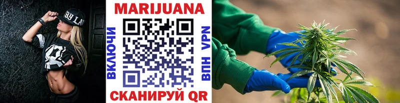 Канабис планчик  Невель 
